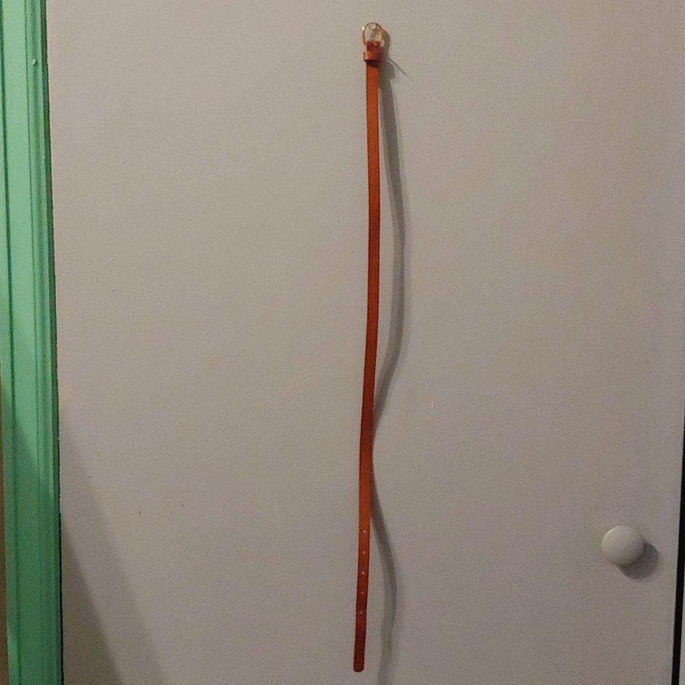 Brown Belt